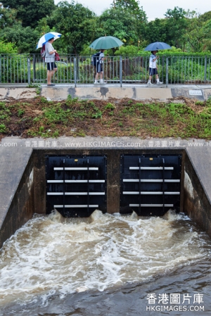 清晨黃雨新界北超過90毫米