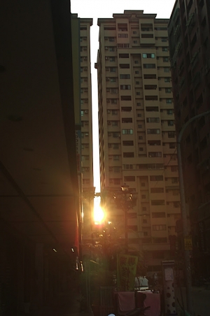 [D30]黃昏隨意拍