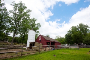 :::: 康州農場 ::::