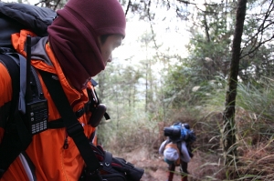 山之驕寵~武陵四秀