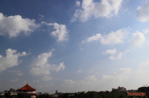 今日洲際棒球場2.