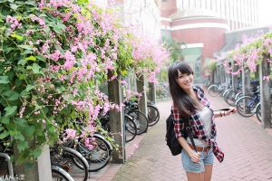 妙妙◆青春