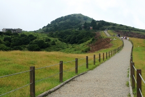 陽明山上的擎天崗