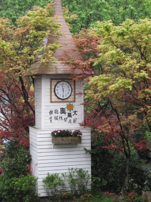 台北奧萬大．楓紅