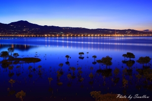 早安!台北水紗漣-阿生