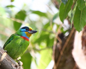 大安森林公園亂亂拍