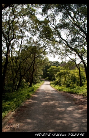 放几張風景照~ 大欖郊野公園
