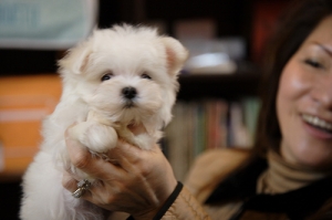 大家好! 我叫多多~