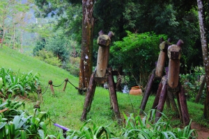 台中新社薰衣草森林