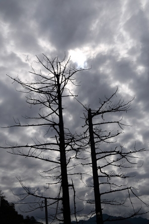 2012暑假(尾)家庭旅遊隨拍(1) ... By TONY