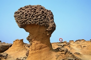 [30D] 野柳地質公園