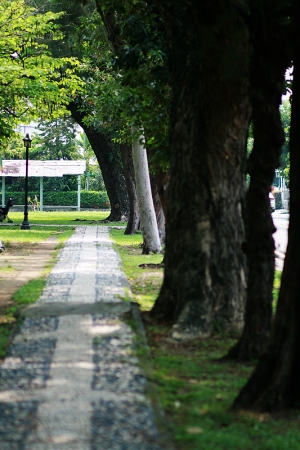 寧靜純撲的鄉村