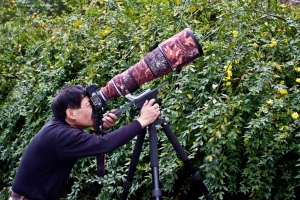 鐵達尼