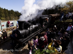 阿里山小火車(一張)