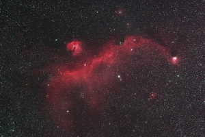 IC2177 海鷗星雲