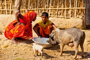 尼泊爾人的生活