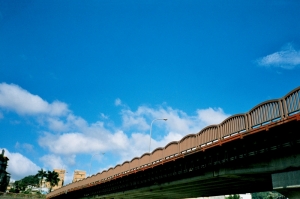 到處走走~film