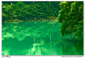 綠境。20090424烏來內洞