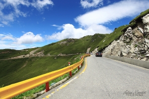 迷上合歡山