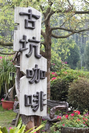 ∮午後時光 – 古坑咖啡∮ By 牛奶小安