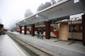 阿里山之旅
