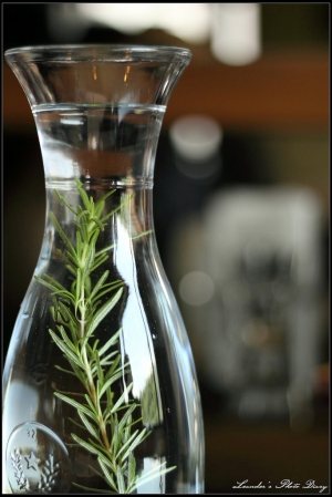 2010七月@6028coffee =攝影器材大亂鬥之人像亂亂拍=