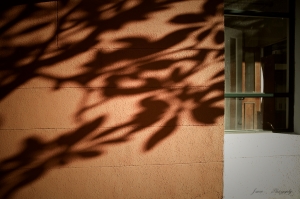 Jason的小品集(持續更新)