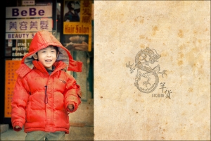 ::: Chinese New Year Shopping 辦年貨 :::