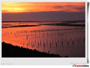 [10D]2008七股夕照(970630更新)