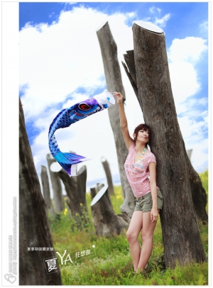 /// 夏YA狂想曲 ///