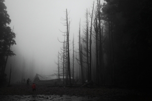 令人屏息的祕境-水漾森林