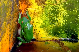 元旦健行生態隨拍