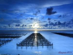 第一次使用黑卡~~刷刷刷