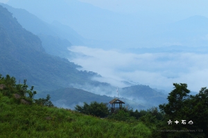 晚交的六十石山與赤柯山金針花景