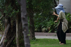 大鳥打不到改打小鳥