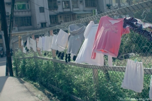 暖陽，到處逛逛