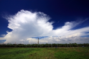 今天的藍天白雲