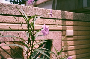 Olympus Mju2 Vol.2