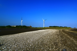 120701 海岸風情-新竹
