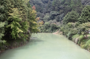 杉林溪景