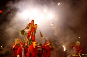 ▲台北也能拍到寒單爺▼