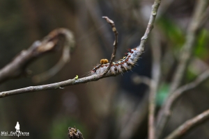 新手駕駛~~請多關照<(￣︶￣)>↗