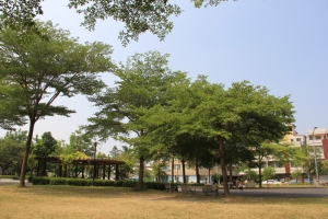 學甲華宗公園