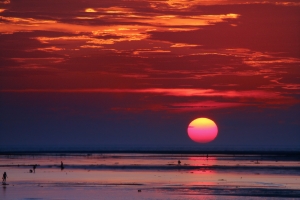 高美滷蛋和小紅