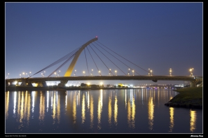 [夜拍]大直橋