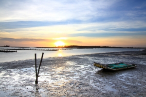 到曾文溪口吹吹風..亂亂拍