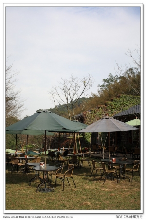 苗栗綠葉方舟半日遊