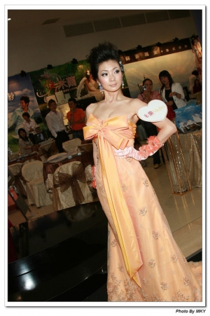 ~~巨蛋億萬珠寶婚紗秀~~(1)