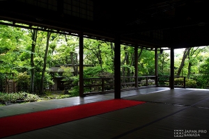 京都妙心寺 - 雨中的大法院朝聖 -
