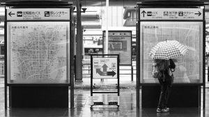 2011、京都、春浪漫-2 (40pcs)